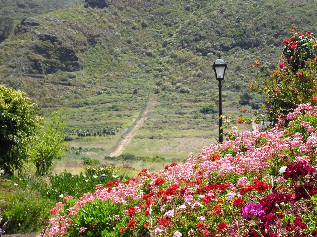Finca El Picacho Apartments In The Countryside 2 Km From The Beach Tejina Habitación foto