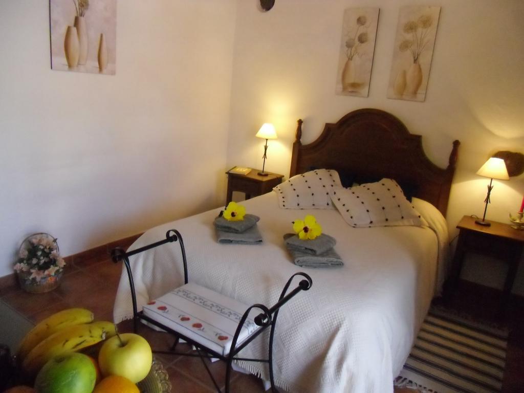 Finca El Picacho Apartments In The Countryside 2 Km From The Beach Tejina Habitación foto